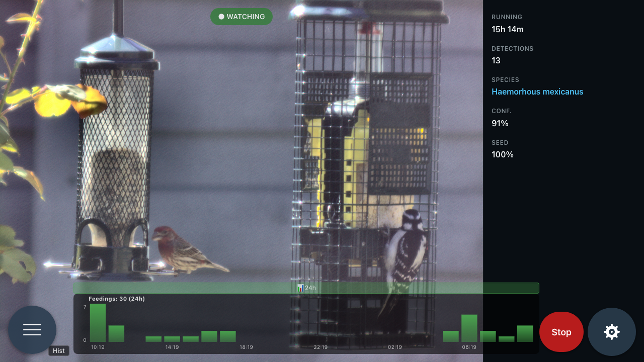 Bird Watcher active on the TouchDisplay 2 — a house finch identified at 91% confidence, downy woodpecker on the suet cage